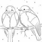 Winter Birds