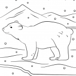 Winter Bear