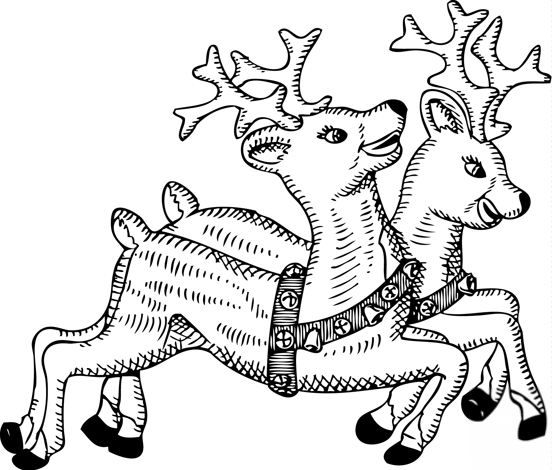 Santa Claus's Reindeers