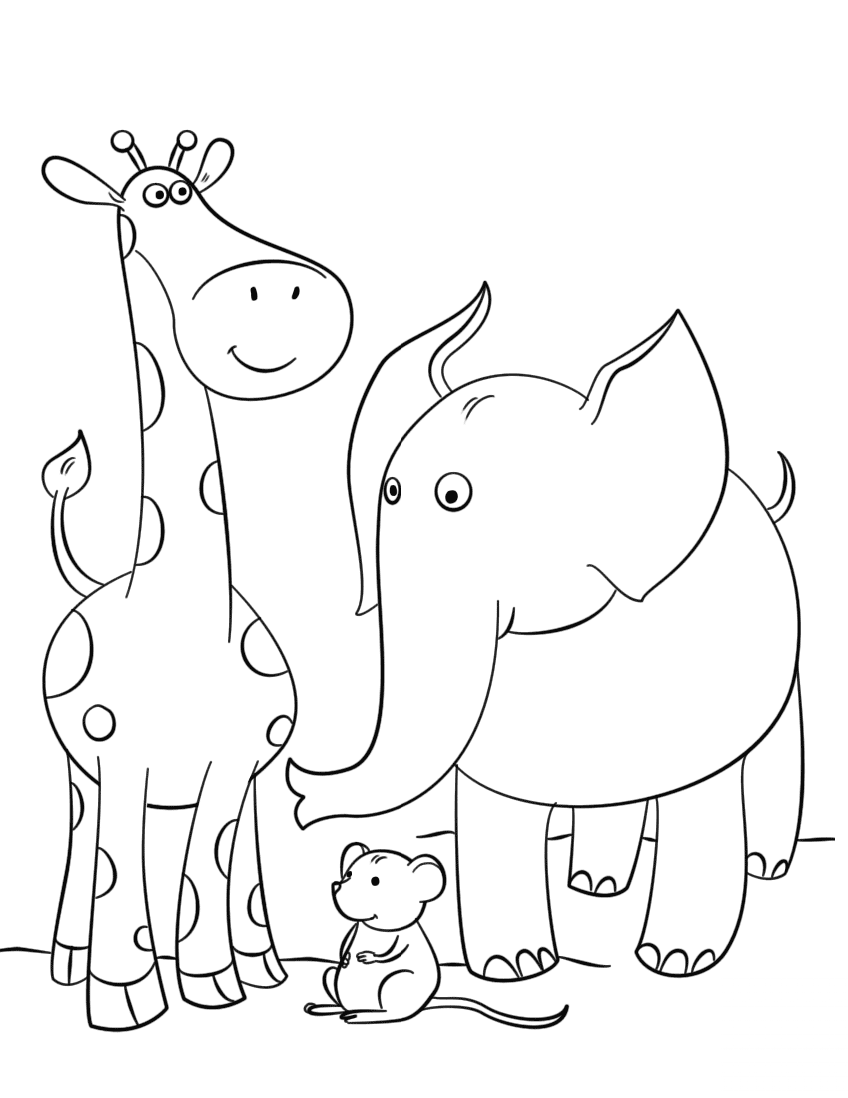 Giraffe, Mouse and Elephant