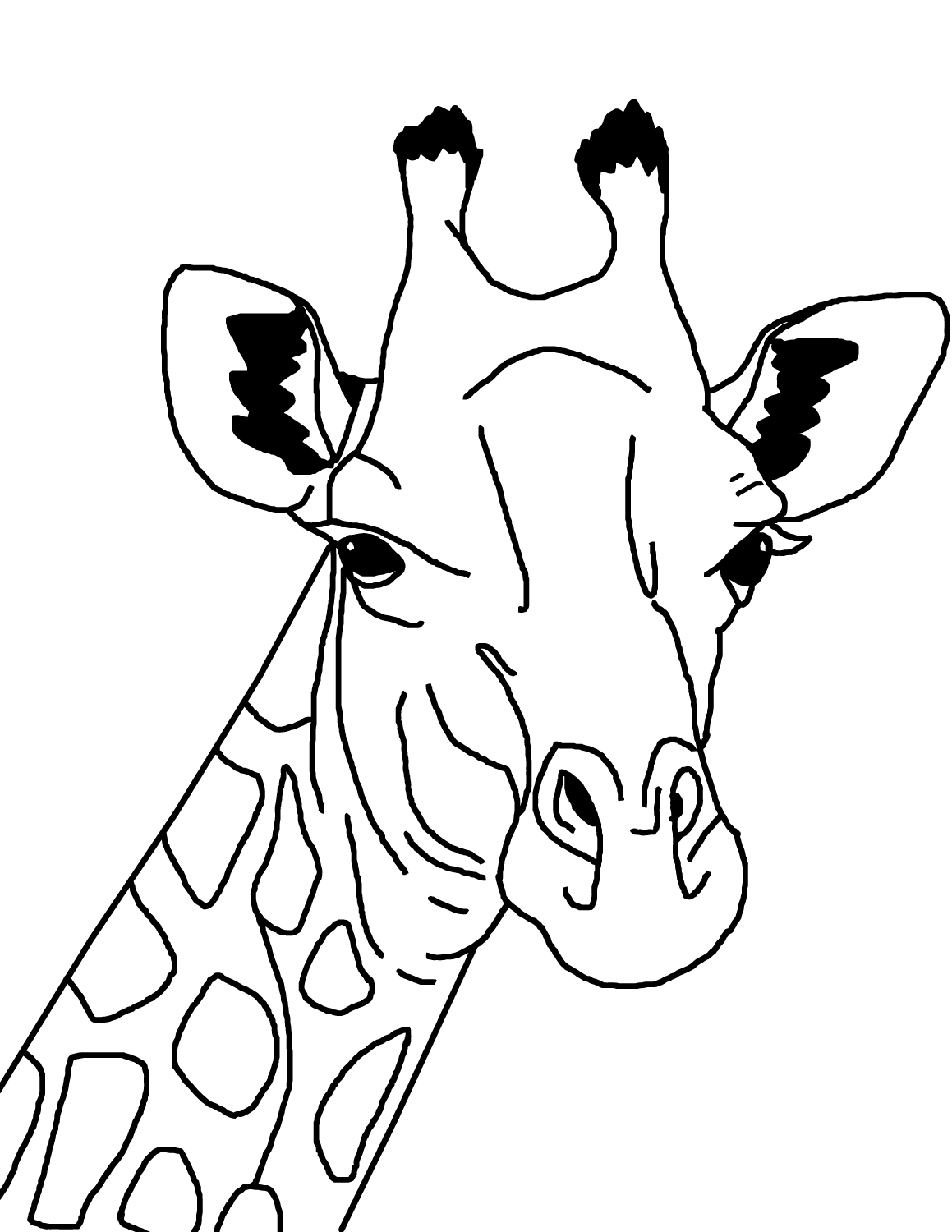 Giraffe Face